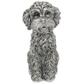 Silver Cockapoo Sitting - Small