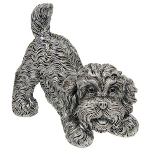 Silver Cockapoo Playing - Small
