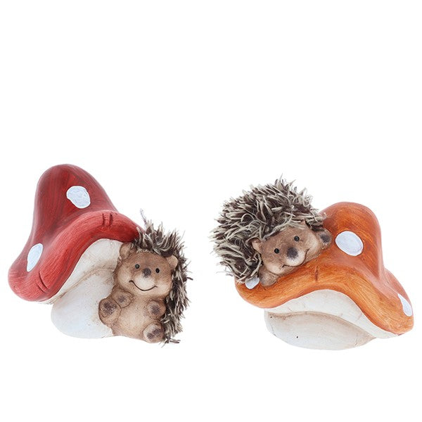 Country Hedgehog Mushrooms