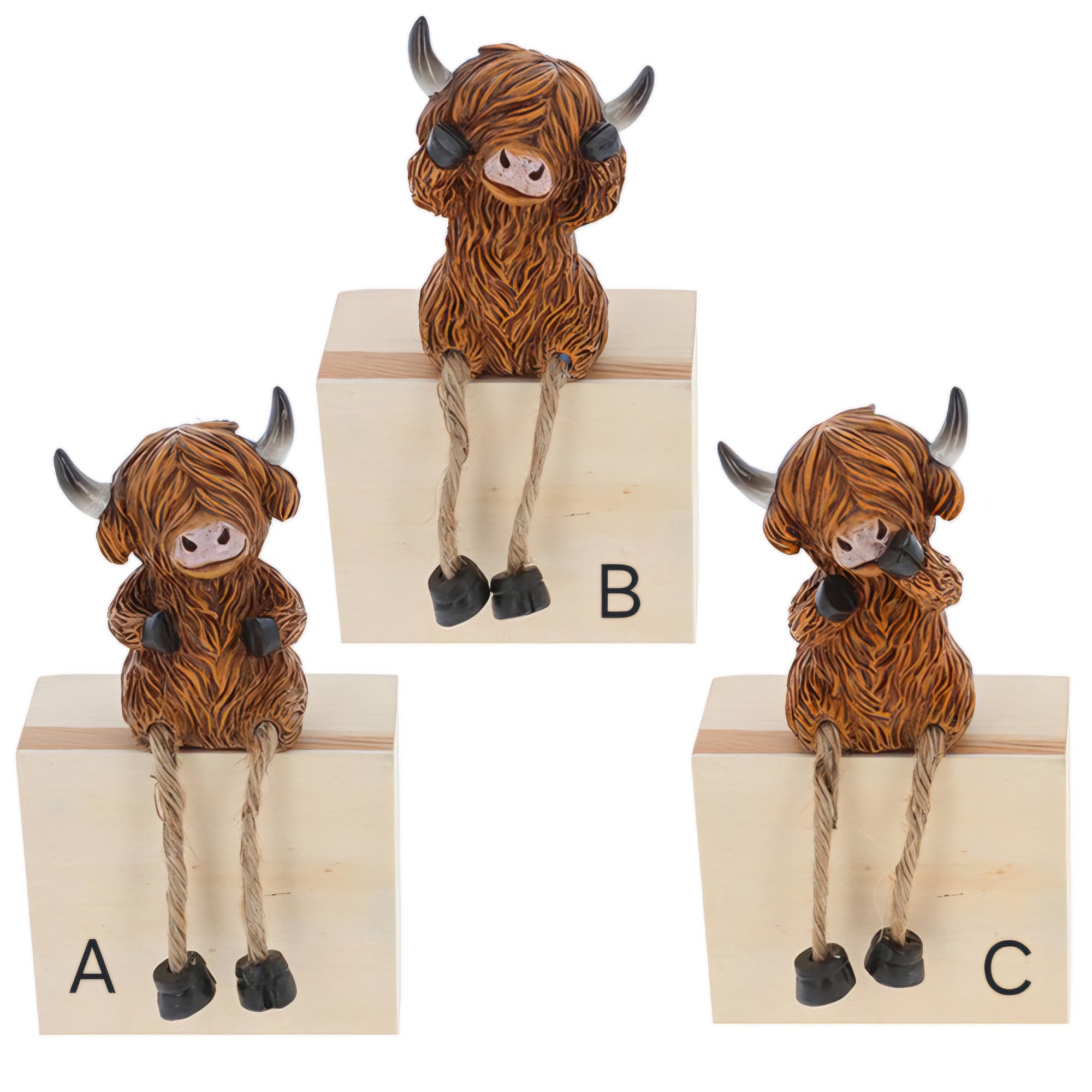 Highland Coooos Cows
