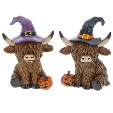 Load image into Gallery viewer, Halloween Highland Cows 🎃 14 To Choose From PRE-ORDER
