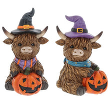 Load image into Gallery viewer, Halloween Highland Cows 🎃 14 To Choose From PRE-ORDER
