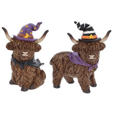 Load image into Gallery viewer, Halloween Highland Cows 🎃 14 To Choose From PRE-ORDER
