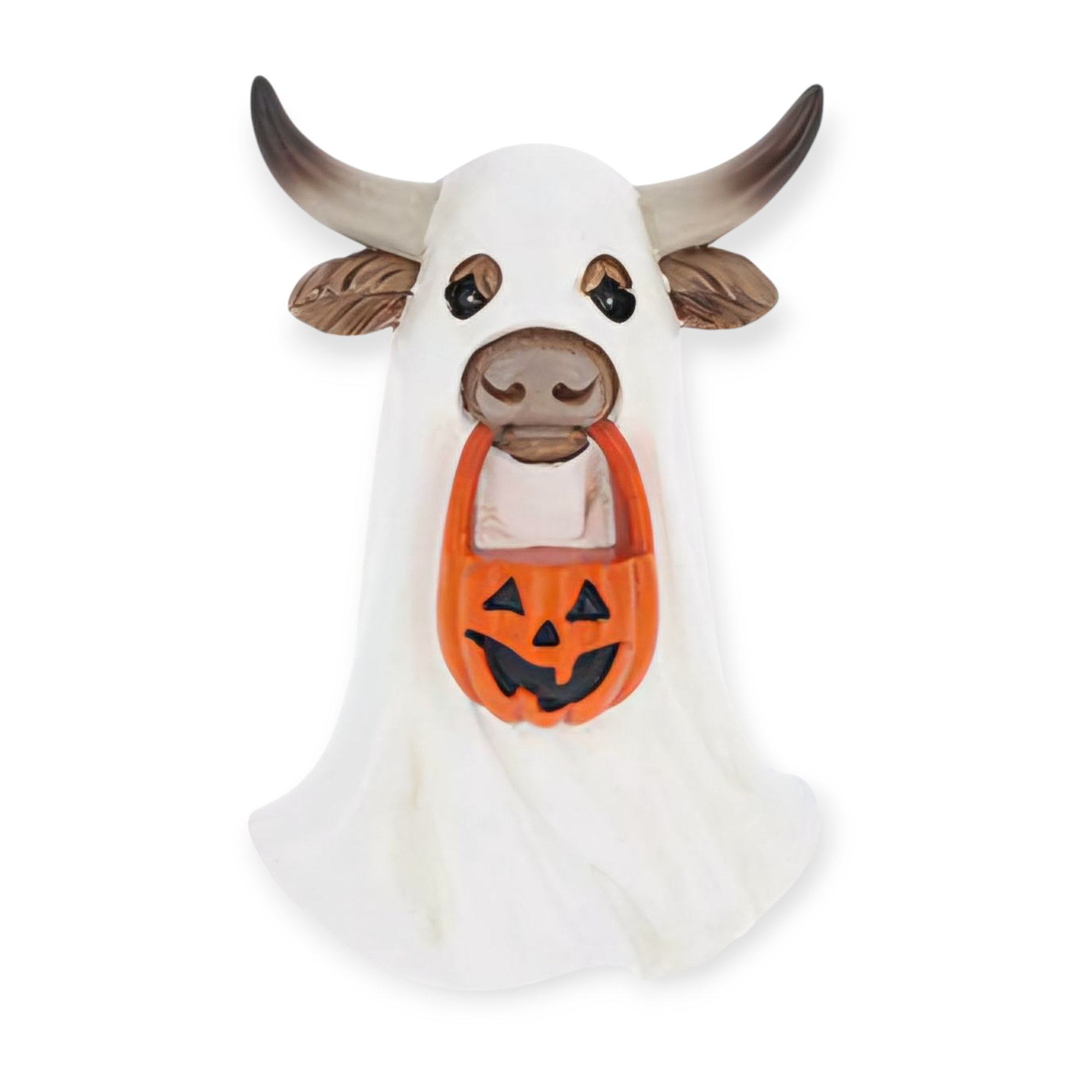 Halloween Highland Cows 🎃 14 To Choose From