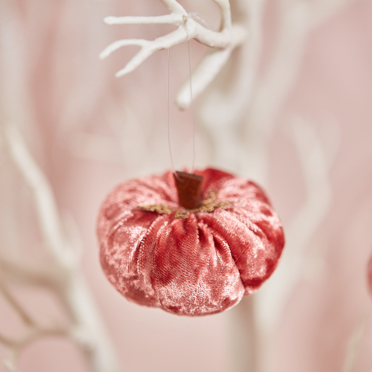 Velvet Pumpkin Hangers - Set of 6