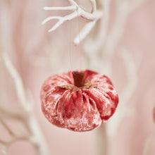 Load image into Gallery viewer, Velvet Pumpkin Hangers - Set of 6 ..
