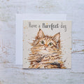 Happy Birthday Cat Card Purrfect Day