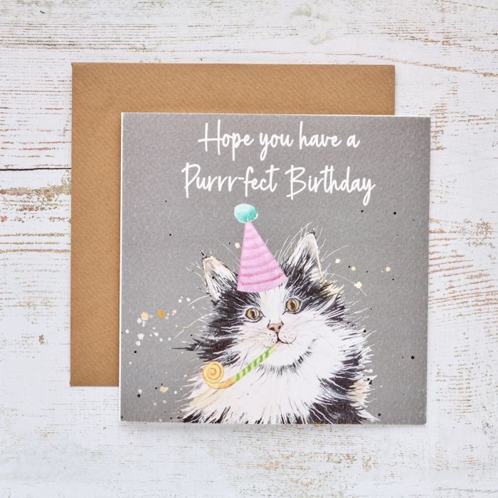 Happy Birthday Cat Party Hat Card