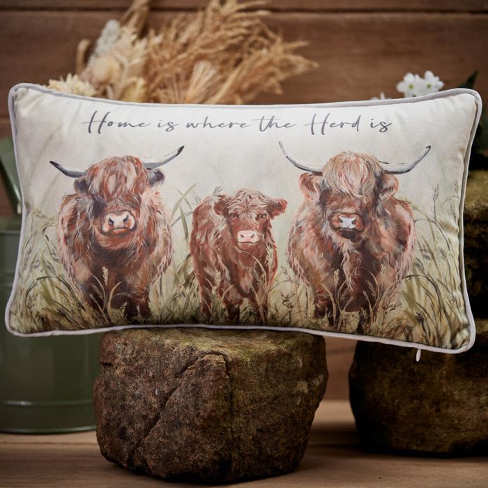 Douglas - Highland Cow Cushion