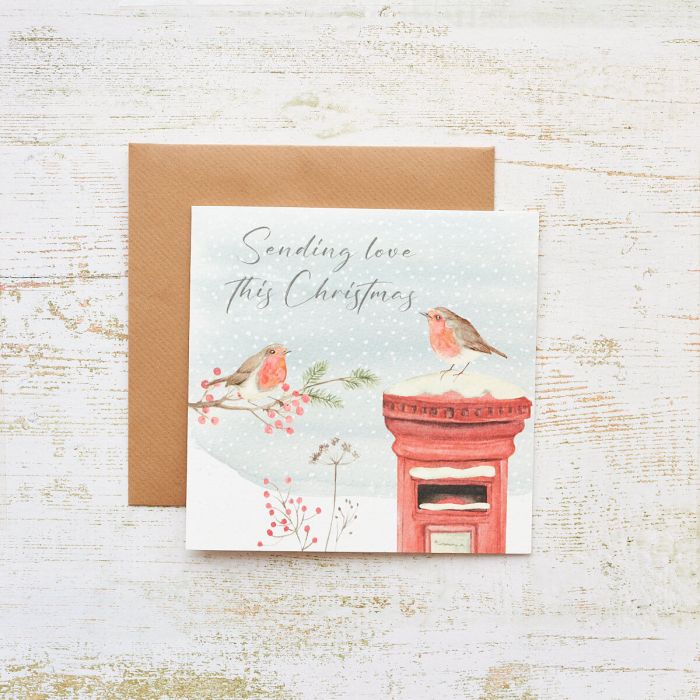 Robin & Postbox Christmas Card