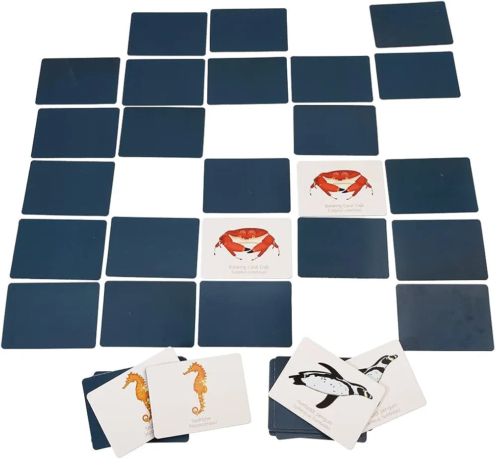 Children's Ocean Memory Game