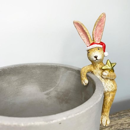 Christmas Plant Pot Santa Bunny With Star