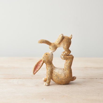 Kissing Rabbits