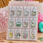Glass Pocket Hugs