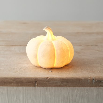LED White Textured Pumpkins - Pair
