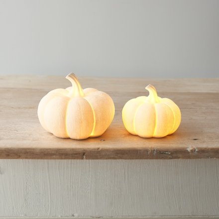 LED White Textured Pumpkins - Pair
