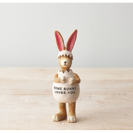 Rabbit In Egg - Some Bunny Loves You ..