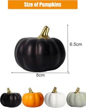 Load image into Gallery viewer, Black With Gold Stalk Pumpkins
