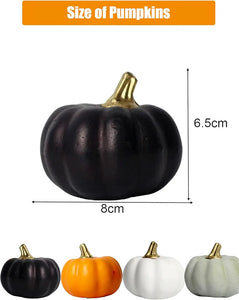 Black With Gold Stalk Pumpkins