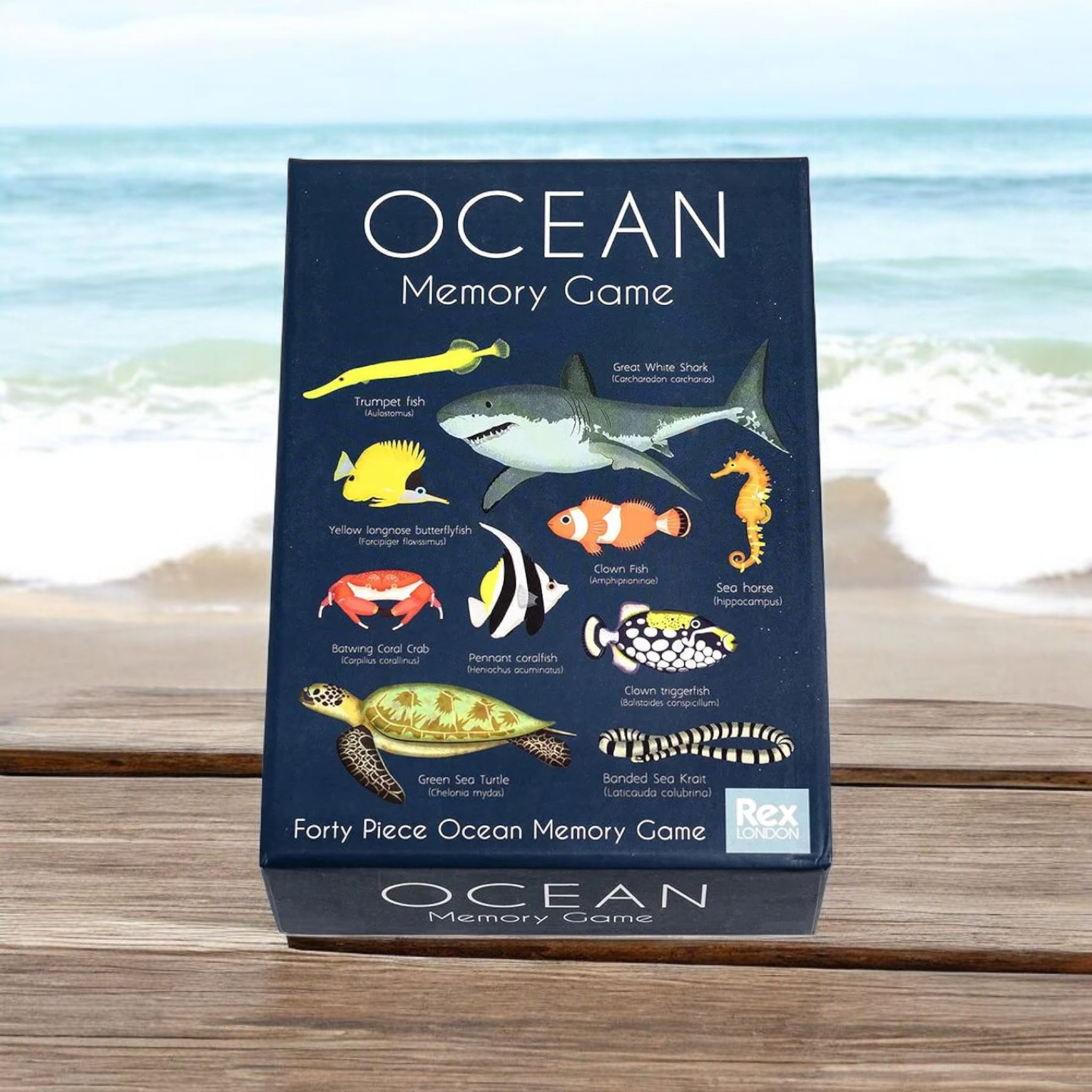 Children's Ocean Memory Game