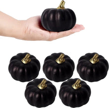 Load image into Gallery viewer, Black With Gold Stalk Pumpkins
