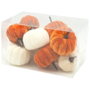 Velvet Pumpkins - Orange & White ..