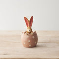 Bunny Rabbit In Egg With Daisies