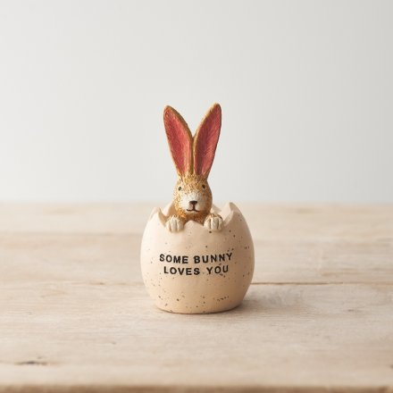Rabbit In Egg Sat - Some Bunny Loves You ..
