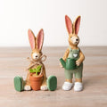 Gardening Bunny Rabbits With Watering Can & Plant