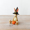 Witch Bunny Rabbit With Pumpkin - Sat