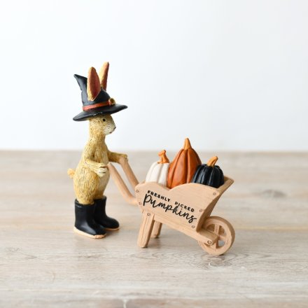 Wizard Rabbit With Freshly Picked Pumpkins Wheelbarrow