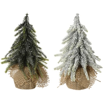 Snow / Glitter Covered Trees