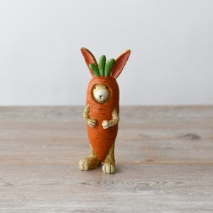 Spring Rabbit Carrot Dress Up