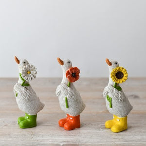 Ducks In Boots With Flower - Daisy - Poppy - Sunflower