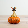 Spooky Season Bunny Rabbit On Pumpkin