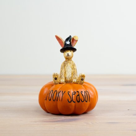 Spooky Season Bunny On Pumpkin