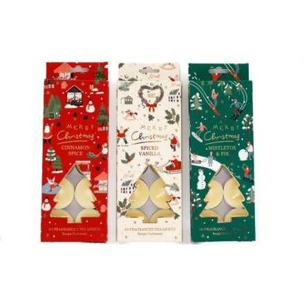 Fragranced Festive T-Lights - Cinnamon Spice, Spiced Vanilla & Mistletoe & Fir