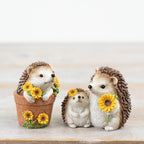 Sunflower Hedgehogs - Mum & Baby