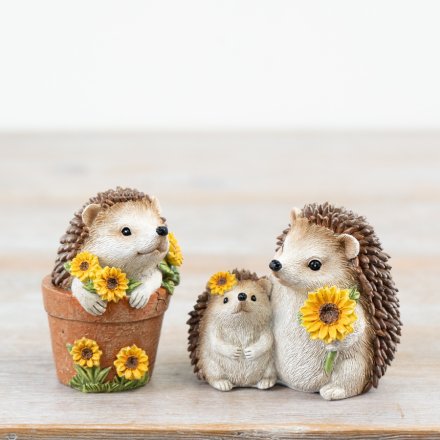 Sunflower Hedgehogs - Mum & Baby