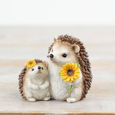 Sunflower Hedgehogs - Mum & Baby
