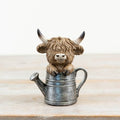 Highland Cow In Watering Can
