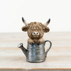 Highland Cow In Watering Can