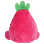 Palm Pal Soft Plush Toy -  Rhys Dragon Fruit