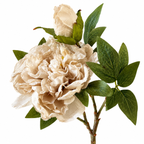 Full Bloom Double Peony in Nude