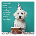 Happy Birthday Card West Highland Terrier Enjoy The Glow