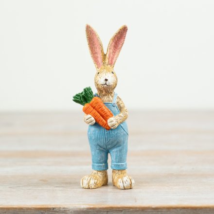 Easter Bunny Rabbit With Carrots.