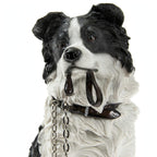 Adorable Border Collie Figurine with Lead in Mouth - Black & White Collie Dog Ornament 15x9x17cm | Gift for Collie Lovers