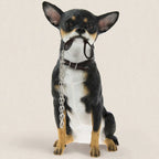Adorable Chihuahua Figurine with Lead in Mouth - Black &amp; Tan Chihuahua Dog Ornament 14x9x19cm | Gift for Chihuahua Lovers