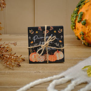 Set of 2 Autumn Pumpkin Harvest Slate Coasters PRE-ORDER