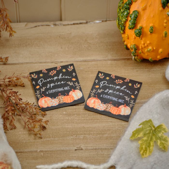 Set of 2 Autumn Pumpkin Harvest Slate Coasters PRE-ORDER